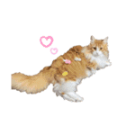 LVC（個別スタンプ：7）