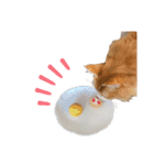 LVC（個別スタンプ：10）