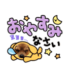 集まれ美人ワンコの森！（個別スタンプ：1）