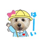 集まれ美人ワンコの森！（個別スタンプ：5）