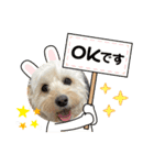 集まれ美人ワンコの森！（個別スタンプ：6）