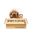 集まれ美人ワンコの森！（個別スタンプ：12）