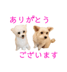 のんあこ2（個別スタンプ：2）