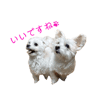 のんあこ2（個別スタンプ：6）