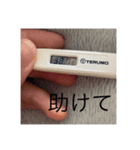 あひあひ超えてあひあひ（個別スタンプ：16）