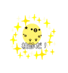 マタニティに使える真顔ことりちゅん（個別スタンプ：1）