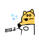柴犬    キツネでも消毒液でもないよー（個別スタンプ：3）