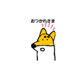 柴犬    キツネでも消毒液でもないよー（個別スタンプ：5）