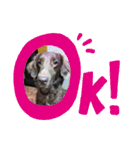 DUKE氏（個別スタンプ：4）
