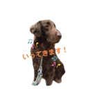 DUKE氏（個別スタンプ：8）