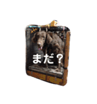 DUKE氏（個別スタンプ：15）