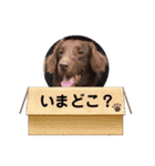 DUKE氏（個別スタンプ：18）