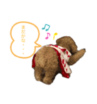 トイプMiniのスタンプ（個別スタンプ：1）