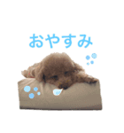 トイプMiniのスタンプ（個別スタンプ：3）