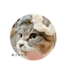 ちびみや（みやりんだけ）（個別スタンプ：1）