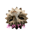 ちびみや（みやりんだけ）（個別スタンプ：5）