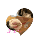 ちびみや（みやりんだけ）（個別スタンプ：9）