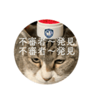 ちびみや（みやりんだけ）（個別スタンプ：16）