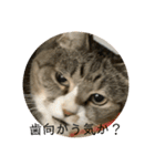 ちびみや（みやりんだけ）（個別スタンプ：18）