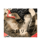 ちびみや（みやりんだけ）（個別スタンプ：21）