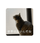 ちびみや（みやりんだけ）（個別スタンプ：22）