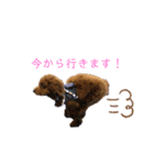Ruby......（個別スタンプ：2）