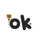 きつね顔たぬぱち(豆柴）。（個別スタンプ：4）