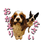 ミルゥとハリー（個別スタンプ：8）