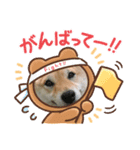 cccbbbbbbkkk33（個別スタンプ：1）