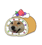 cccbbbbbbkkk33（個別スタンプ：2）