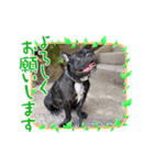 フレブル-マックス3（個別スタンプ：19）