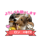 シェルティの子犬ロン（個別スタンプ：16）