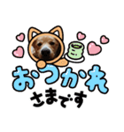 琉球犬です。（個別スタンプ：3）