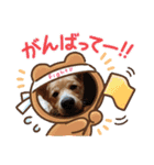 琉球犬です。（個別スタンプ：5）