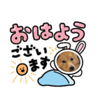 琉球犬です。（個別スタンプ：19）