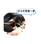 生きもの好き（個別スタンプ：8）