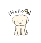 poodle☆プードル(cream/クリーム)（個別スタンプ：1）