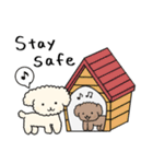 poodle☆プードル(cream/クリーム)（個別スタンプ：7）