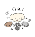 poodle☆プードル(cream/クリーム)（個別スタンプ：10）