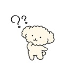 poodle☆プードル(cream/クリーム)（個別スタンプ：31）