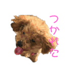 ぷーちゃん.（個別スタンプ：24）