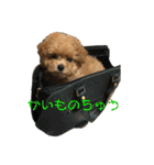 ぷーちゃん.（個別スタンプ：30）