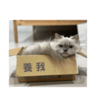 ドビーの日常生活（個別スタンプ：18）
