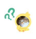 ボンの可愛いスタンプ（個別スタンプ：6）