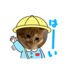 ボンの可愛いスタンプ（個別スタンプ：11）