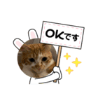 ボンの可愛いスタンプ（個別スタンプ：12）