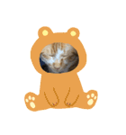 ボンの可愛いスタンプ（個別スタンプ：14）