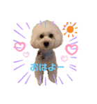 ❤️Chloe's Family❤️あいさつ編（個別スタンプ：2）