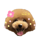 ❤️Chloe's Family❤️あいさつ編（個別スタンプ：4）