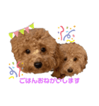 ❤️Chloe's Family❤️あいさつ編（個別スタンプ：10）